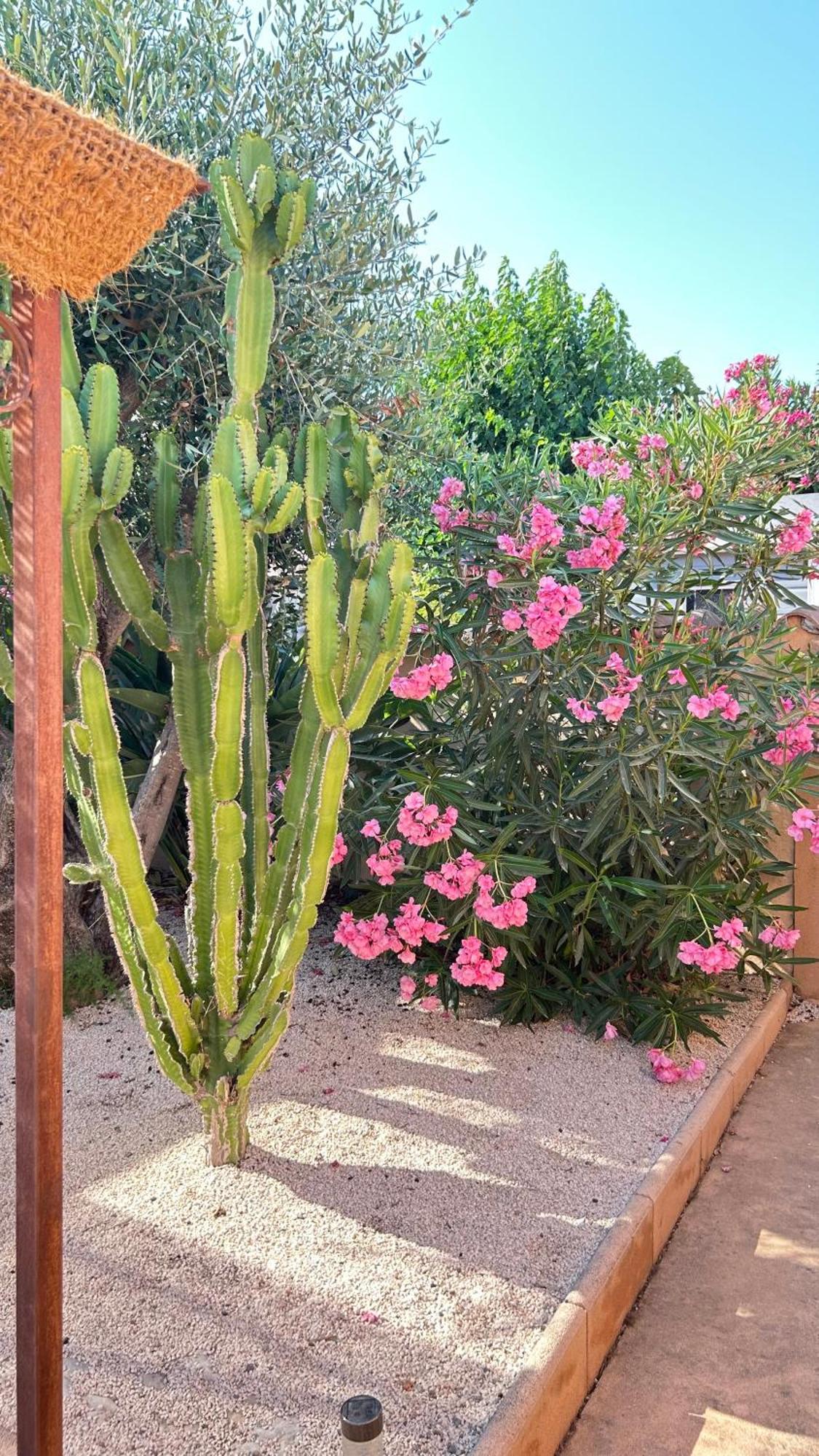 2 Hebergements - 10 Couchages - Parking, Piscine, Jacuzzi - Convivialite Roquebrune-sur Argens Exterior foto