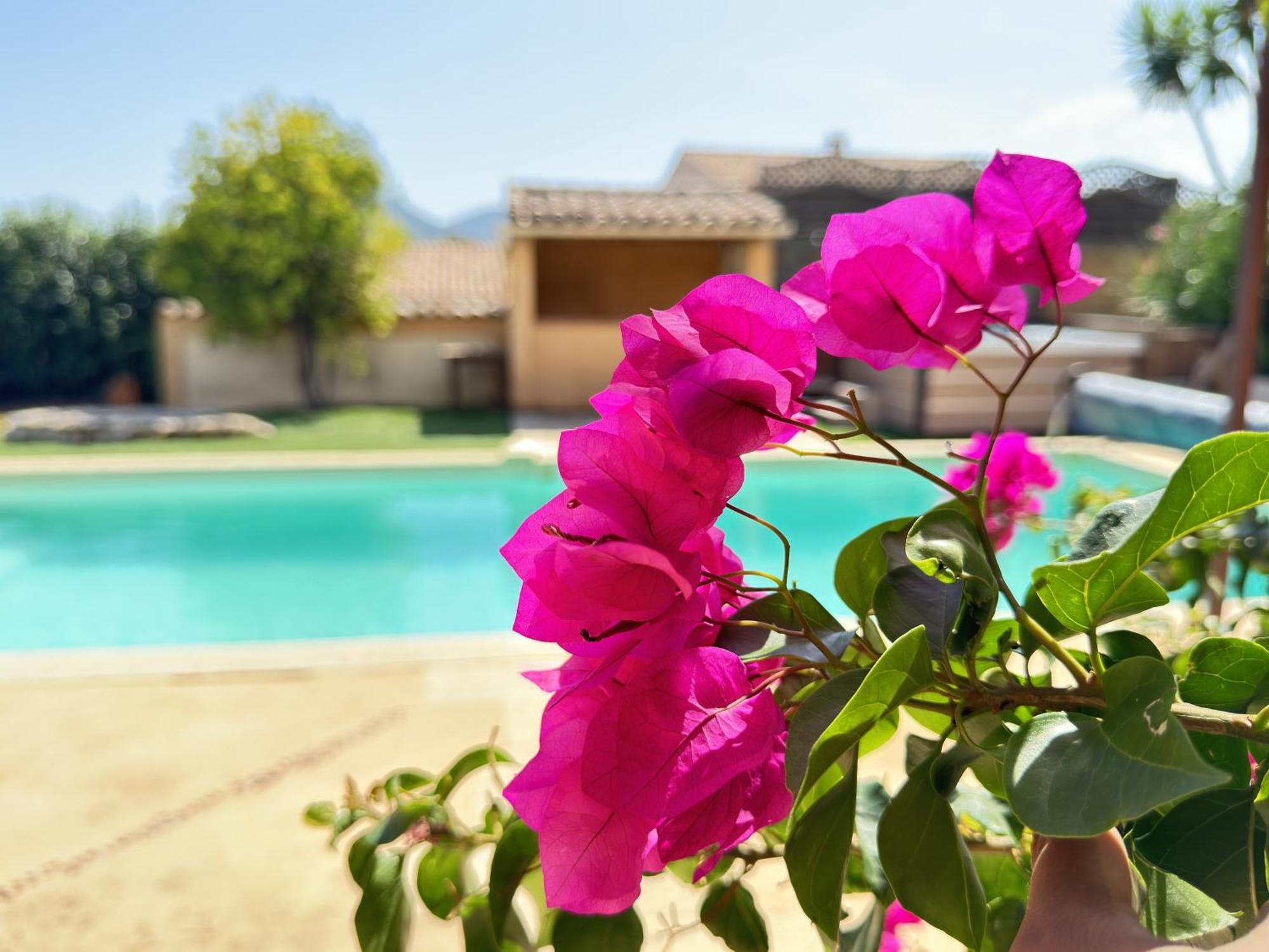 2 Hebergements - 10 Couchages - Parking, Piscine, Jacuzzi - Convivialite Roquebrune-sur Argens Exterior foto